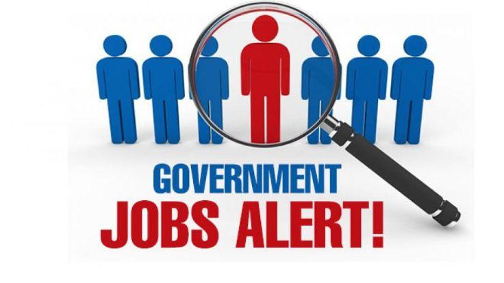 Government Job-0jrwZKeKnR.jpg